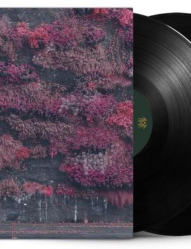 Even In Arcadia von - 2-LP (Standard) - None - unisex