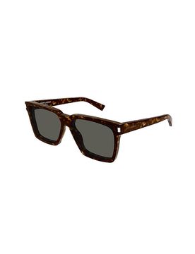 Occhiali da sole SL610 marrone