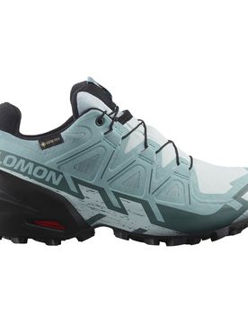 Speedcross 6 GTX Ballad Blue / Black / Tourmaline 40.5 Damen