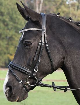 Trense FAMOUS, schwarz/Strass-grau, VB
