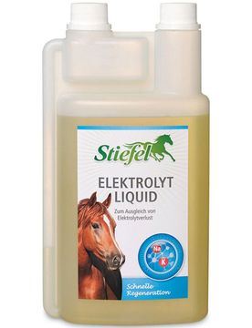 Elektrolyt Liquid 1l Flasche