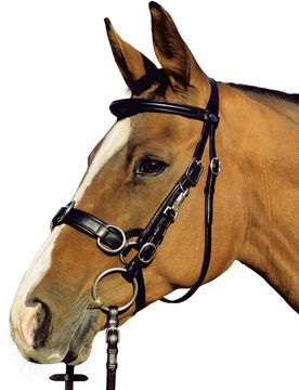 Trensen Kappzaum Leder ATLANTA, Natural Line, schwarz Pony