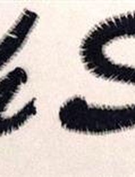 Stickservice Schabracke bis zu 15 Buchstaben Brush Script schwarz