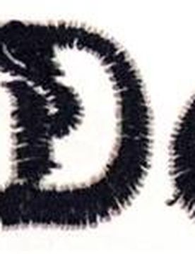Stickservice Hundedecke bis zu 10 Buchstaben Art Decor hellgrün