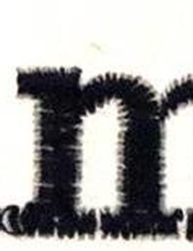 Stickservice Hundedecke bis zu 10 Buchstaben Times blau gerade