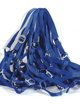 Manski Halfter Nylon 10er Pack, blau Pony