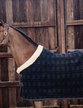 Abschwitzdecke SHOW HEAVY blau kariert 125 cm