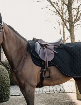 Ausreitdecke 160g schwarz L