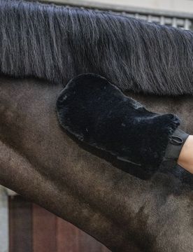 Grooming Deluxe Fell Putzhandschuh schwarz