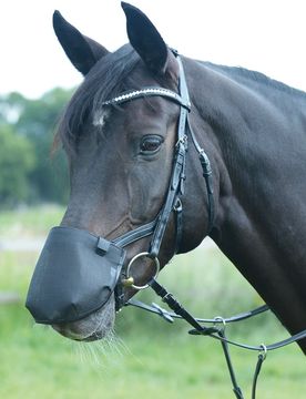 Nüsternschutz Fly Professional Anatomic, schwarz M (G-Pony)