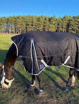 Manski Weidedecke DOMINATOR 300g, black 155