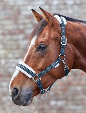 Halfter Elegant, nachtblau VB