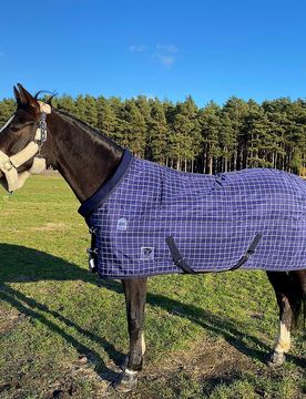 Manski Stalldecke 200g ALASKA, navy check 165