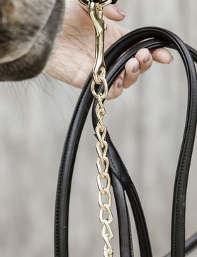 Führleine LEATHER CHAIN schwarz