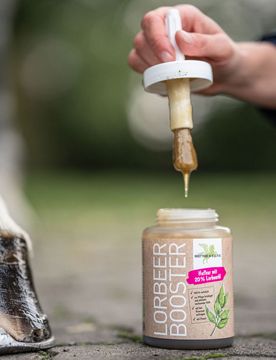 LorbeerBooster mit Pinsel 450ml