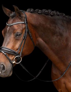 Trense IRH ATHENA black Cob