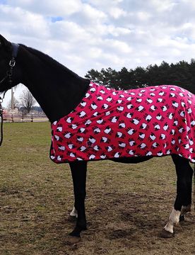 Manski Abschwitzdecke Fleece SHEEPMAN 145