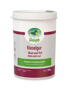 Kieselgur getreidefrei 1 kg Dose