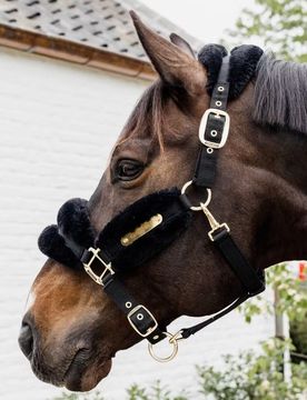 Nylon-Lammfellhalfter Soft, schwarz Pony