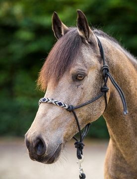 Knotenhalfter mit Strick HVP LAMU black Full