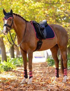 Schabracke Suede Dressage Square, L, navy/cranberry, DR