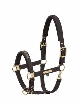 Halfter GIRTH DOUBLE PIN (Heritage2025) black truffle P2