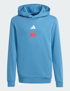 FFR Felpa con cappuccio bambini e bambine 15-16A Dusky Ink