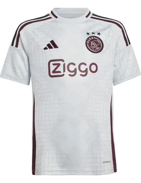 Ausweichtrikot Kinder Ajax Amsterdam 2024/25 - Gris - male - Size: 11/12 ans