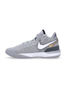 Scarpa Basket Uomo Zoom Lebron Nxxt Gen Wolf Grey/white/iron Grey/black