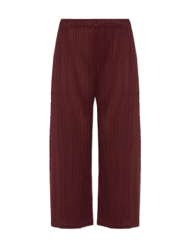 Pleated Mini Pants