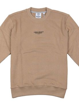 Sweatshirt Basic Line - Sweatshirt-Crewneck - beige - Herren - Size: S