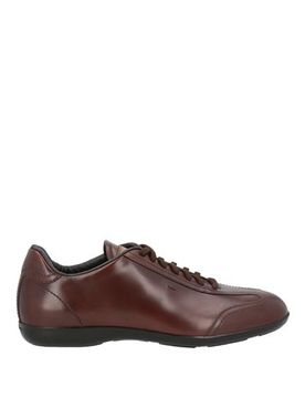 Sneakers Hombre Marrón chocolate 39,39.5,40,40.5 Hombre