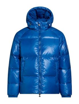Pufferjacke & Daunenjacke Herren Königsblau L,M,XS Herren