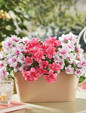 Balkon-Kunstblumen "Azaleen" 3er-Set