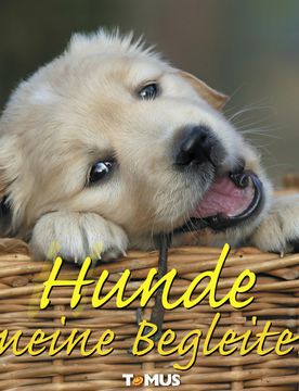 Pagen Buch "Hunde meine Begleiter"