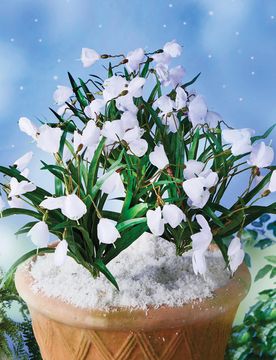 Kunstblumensträuße Schneeglöckchen 3er-Set