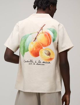 Herren Regular Fit Kurzarmhemd Mit Fruchtmotiv-Rückenprint Stone Größe Small