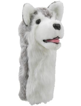Daphne Driver Headcover Husky