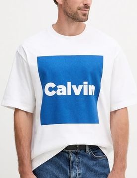 T-Shirt Calvin Box Gra Eu S;Eu Xl Male