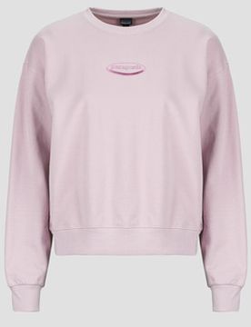 Kapuzensweaters W'S '95 Oval Logo Daily Crew Eu S;Eu M;Eu L;Eu Xl Female