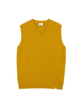The Vest male
