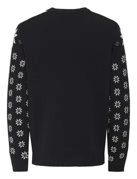 ONSX-MAX REG CREW KNIT male