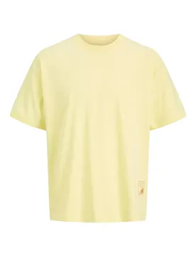 JORCOTEDAZUR LABEL BACK TEE CN male