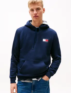 TJM REG ESSENTIAL FLAG HOOD EXT male