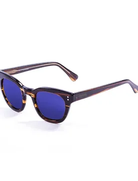 Lunettes De Soleil Polarisées Inspiration V Brown Revo Blue/CAT3 Homme