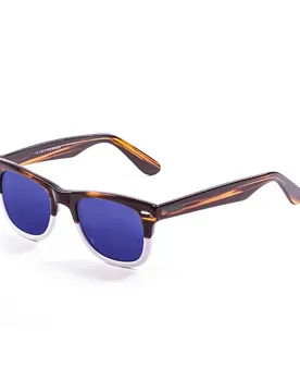 Lunettes De Soleil Polarisées Inspiration I Brown / White Revo Blue/CAT3 Homme