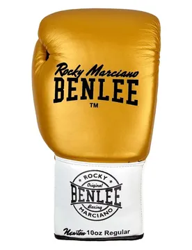 Gants De Boxe En Cuir Newton Gold / White / Black 10 oz L