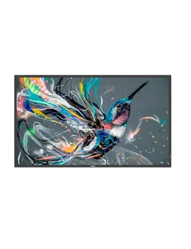 Tv 50bdl3511q/00 50´´ 4k Led Black Europe PAL unisex
