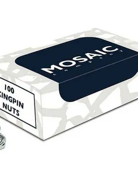 Boîte De Mosaïque De 100 écrous Kingpin One Size unisex