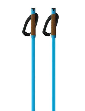 Bâtons Storm Gtx L Blue 170 cm Homme